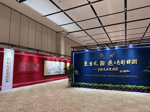 當東方之韻遇上色彩非洲 一場別開生面的文化交流盛宴